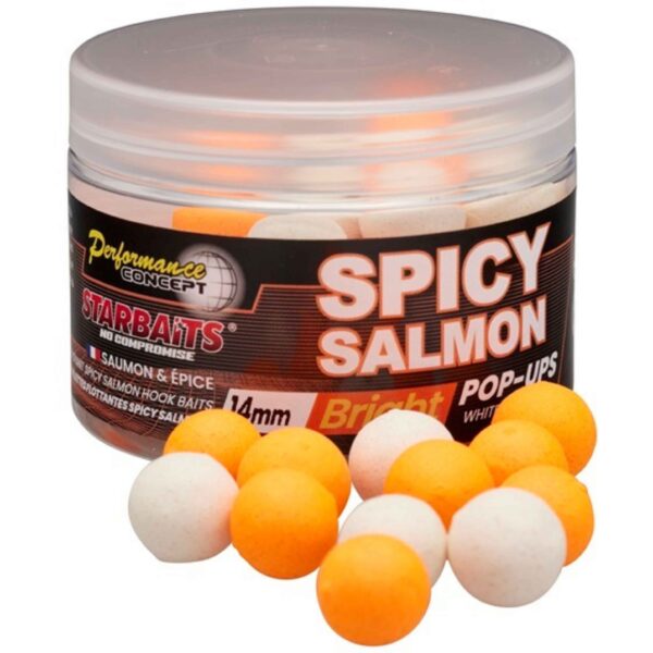 spice salmon