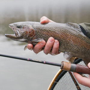 Delphin TROUTERA SoftLURE – Obrázok 8