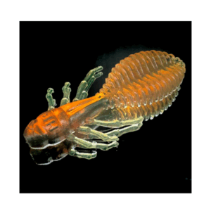 Harmony Baits Beetle