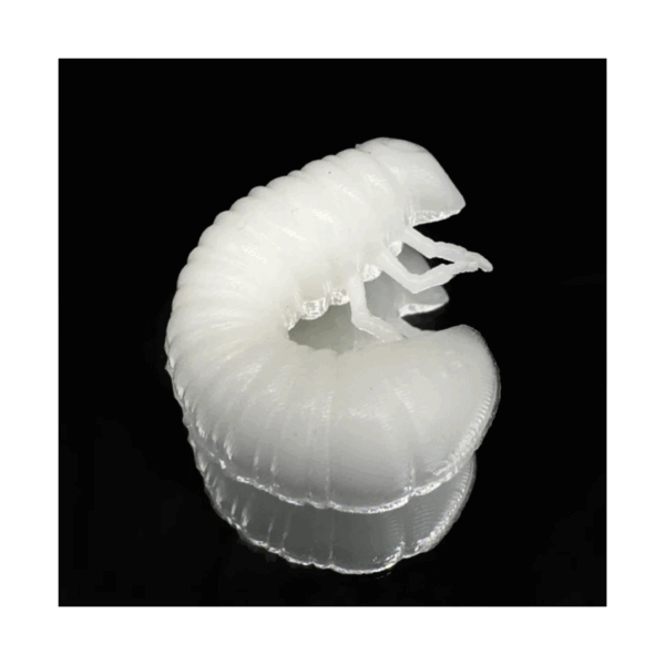 scarab